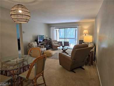 6142 Whiskey Creek Dr unit 603, Fort Myers, FL 33919 - photo 5