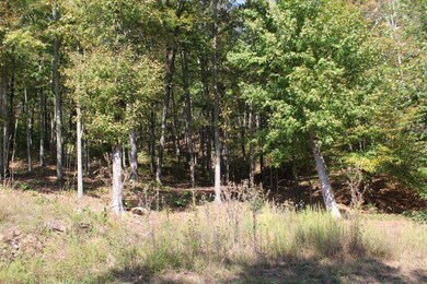 14 Haynes Knob Rd, Somerset, KY 42501 - photo 5