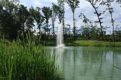 Front Pond 001