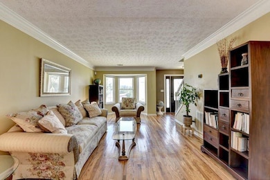Living area with wood finished floors, a textured ceiling, and ornamental molding
