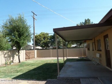 BACKYARD-pic 1