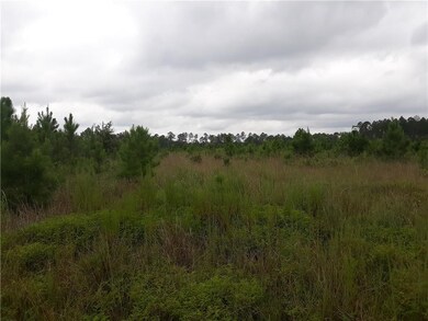 0 Lee Cir Johns Way unit 1612519, Nahunta, GA 31553 - photo 7