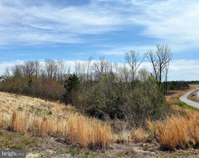 Lot 5 Downton Ave, Livingston, VA 22553 - photo 3