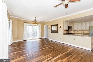 Residences at Park Place unit 706, Annapolis, MD 21401 - photo 5