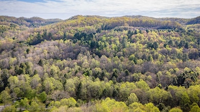 TBD Guest River Rd, Norton, VA 24273 - photo 3