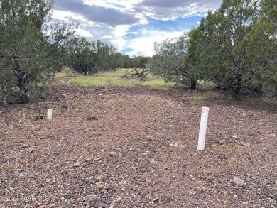 3289 Gerry Ln, Ash Fork, AZ 86320 - photo 6