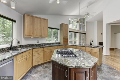 10373 Currycomb Ct, Columbia, MD 21044 - photo 5