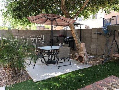 Backyard 3