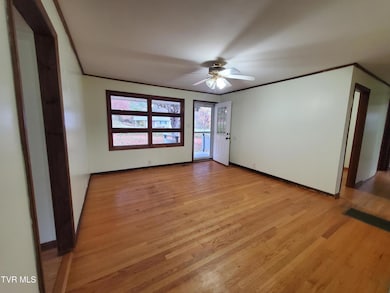 1267 Highway 143, Roan Mountain, TN 37687 - photo 4