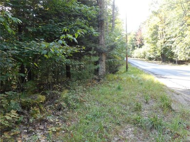 350' Road Frontage