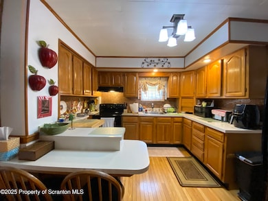 435 N 9th Ave, Scranton, PA 18504 - photo 2