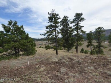 Lot 10 The Ranch at Alpine (7)