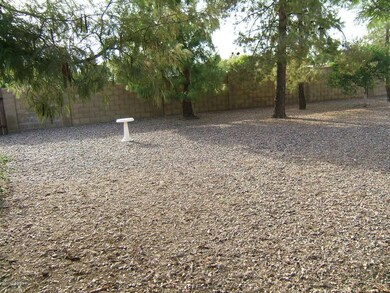 Backyard 2