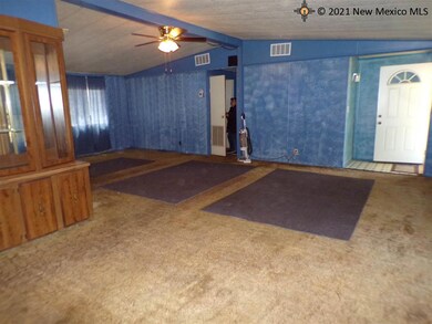 4406 Mescalero St, Carlsbad, NM 88220 - photo 2