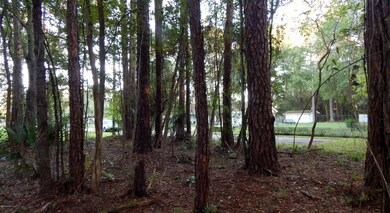 0 Rosedale Ln unit 800887, Jacksonville, FL 32244 - photo 7