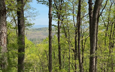 Additional View