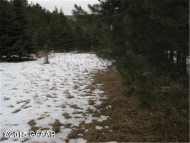 0 Lot 3 Country Ln SW unit 4712227, Farwell, MN 56327 - photo 3