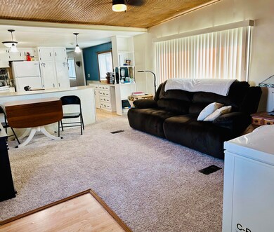 Room for big couch and small freezer