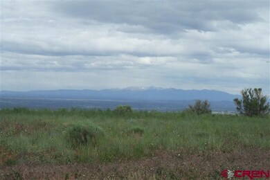 0 Road S 7 Lot unit 8 739516, Cortez, CO 81321 - photo 2