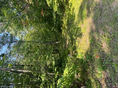 52067 183rd Ave, McGregor, MN 55760 - photo 3