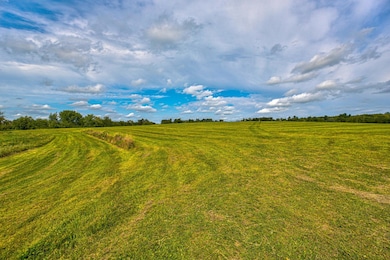 N5314 765th St, Elk Mound, WI 54739 - photo 5