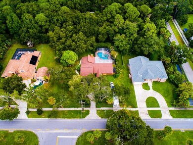 610 Lafayette Blvd, Oldsmar, FL 34677 - photo 6