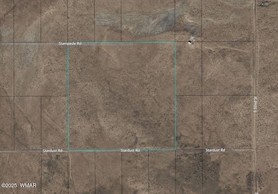 7961 Stampede Rd, Holbrook, AZ 86025 - photo 5