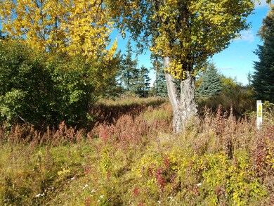 NOrth fork 3