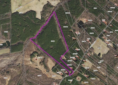 0 Piney Green Rd unit 57113, Nottoway, VA 23930 - photo 2