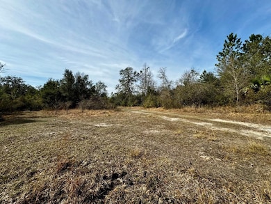 Vacant 1 62 Rd, Lamont, FL 32336 - photo 4