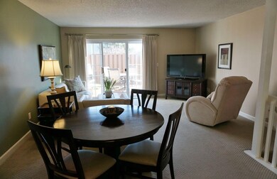 Dining / Living Room