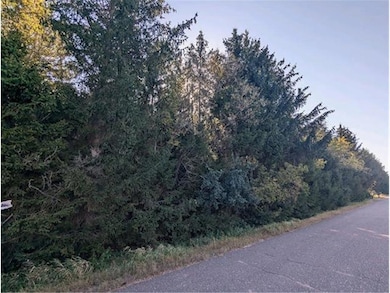 8xx 97th Street St, Amery, WI 54001 - photo 6