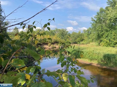 TBD Hoel Rd, Tikander Lake, MN 55741 - photo 4