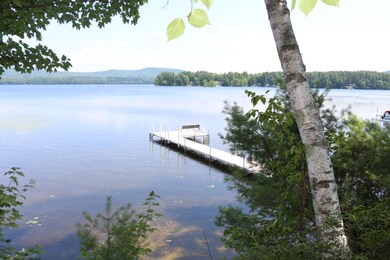 12 Leland Rd, Effingham, NH 03882 - photo 5