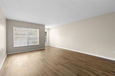 6250 Maisie Rd, Zephyrhills, FL 33542 - photo 5