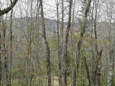 0 Bog Rd unit 4644596, Belvidere Center, VT 05442 - photo 7