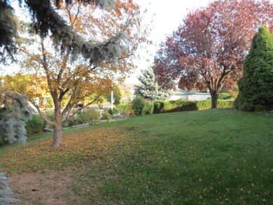 3. FRONT YARD