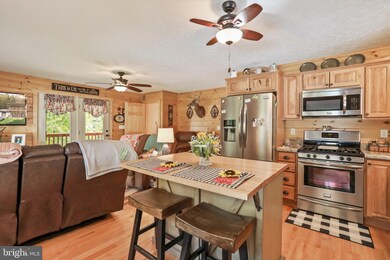 1601 S Branch Mountain Rd, Moorefield, WV 26836 - photo 4