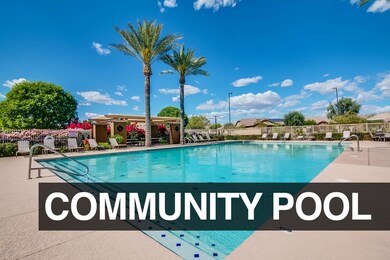 Community Pool Lyons Gate