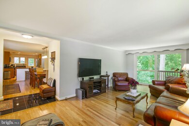 3828 Birchwood Rd, Falls Church, VA 22041 - photo 3