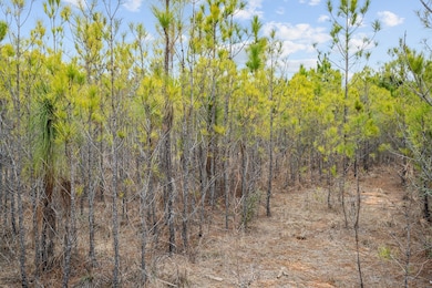 9422 Farm To Market 62, Barnum, TX 75939 - photo 5