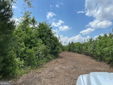 01 Pine Hill Church Rd, Waynesboro, GA 30830 - photo 7