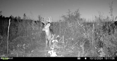 2 Highway 25 Hwy, Flowood, MS 39047 - photo 7