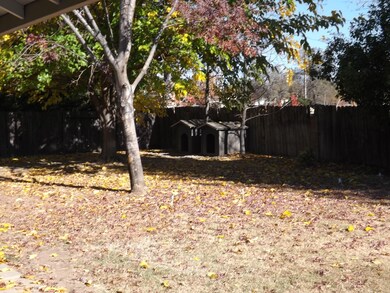 backyard2