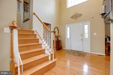 43097 Finders Ln, Chantilly, VA 20152 - photo 5