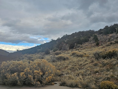 2678 W 225 S Cedar City UT