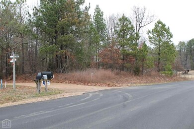 0 Cr 353 unit 10072613, Bono, AR 72416 - photo 6