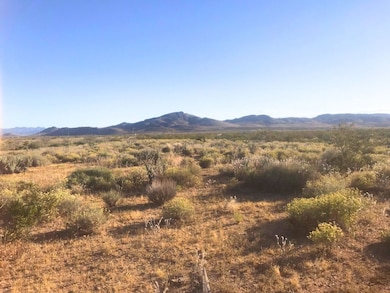 Na, Dolan Springs, AZ 86441 - photo 4