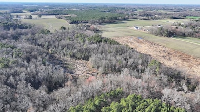 2233 Peanut Rd, Snow Hill, NC 28580 - photo 4