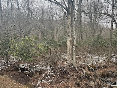 640 Hemlock Ln, Mars Hill, NC 28754 - photo 2